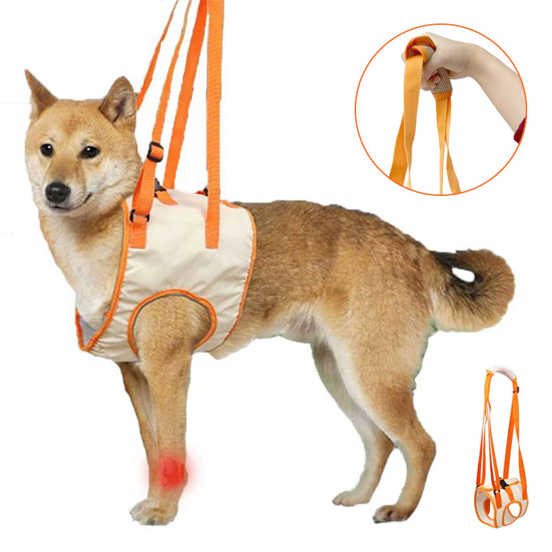Norvo | Dog Support Lift Harness for ACL Rehab & Arthritis
