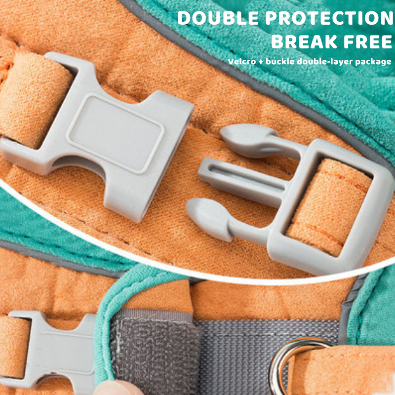 Norvo | Kat Vest Sele og Båndsett