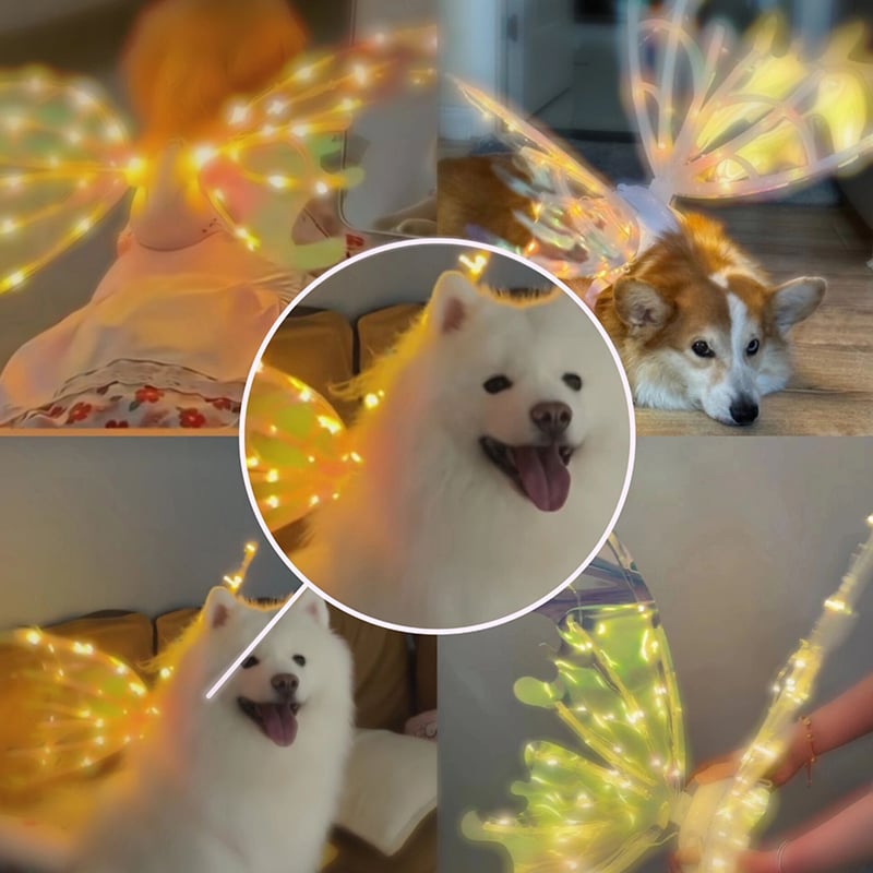 Norvo | ‍Elektriske Sommerfugl Alv Vinger med Lysende Lyskilder