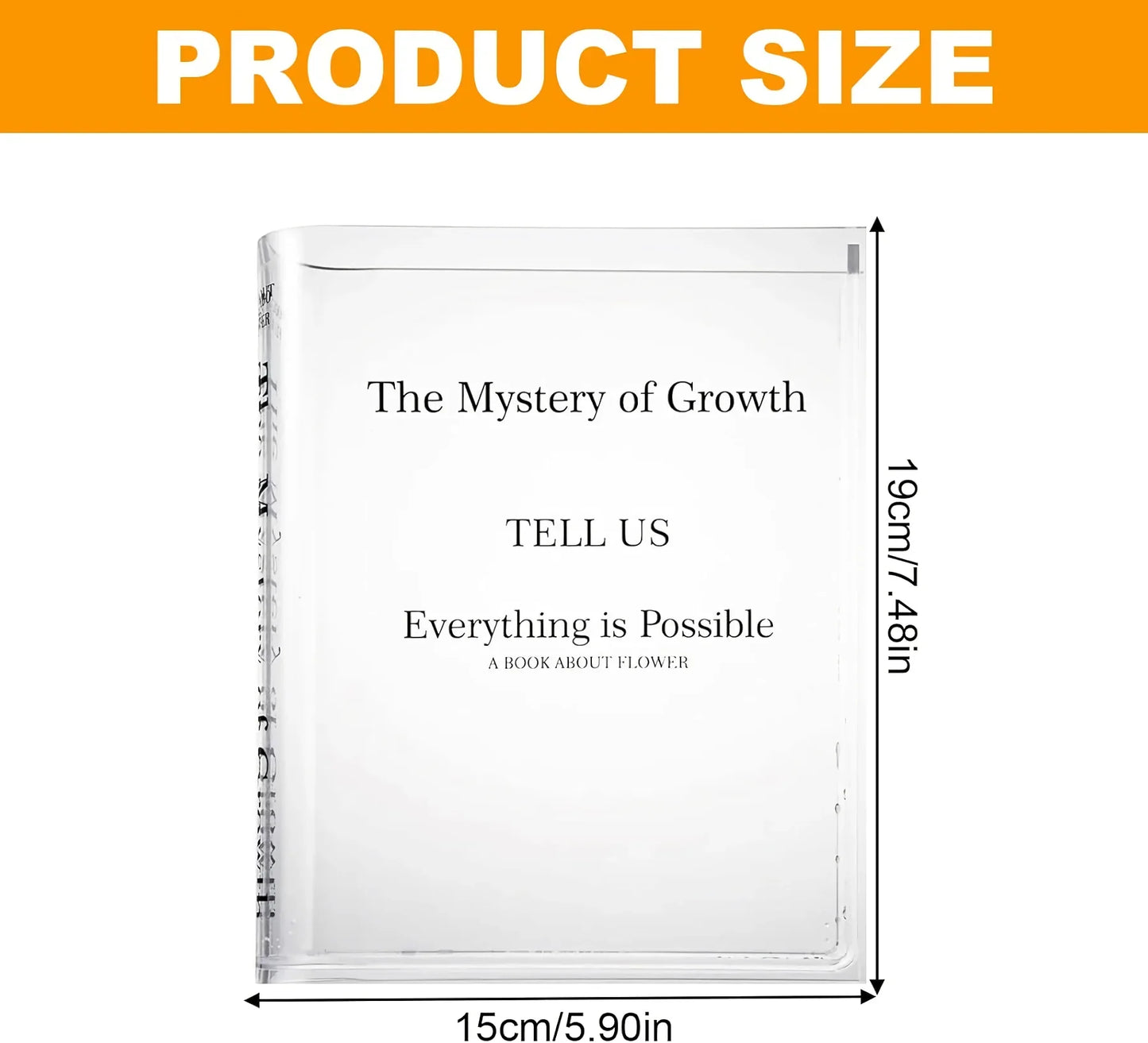 Norvo | Moderne Klar Akryl Bok Vase – Gjennomsiktig, Kreativ Blomster Vase