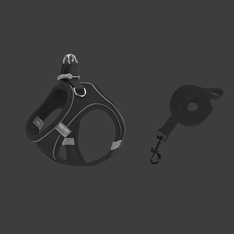 Norvo | Designet for å løfte brystet til kjæledyr