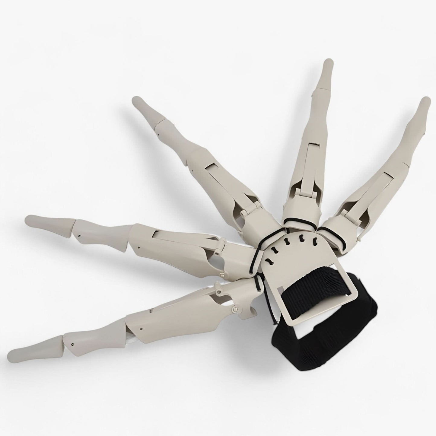 Norvo | Claw | Curled Skeleton Fingers - Realistic Horror Glove