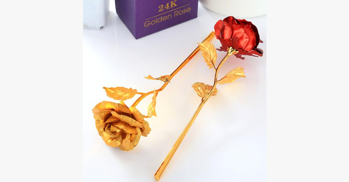 Norvo | 24K Always Gold Plated Rose - Various Colors