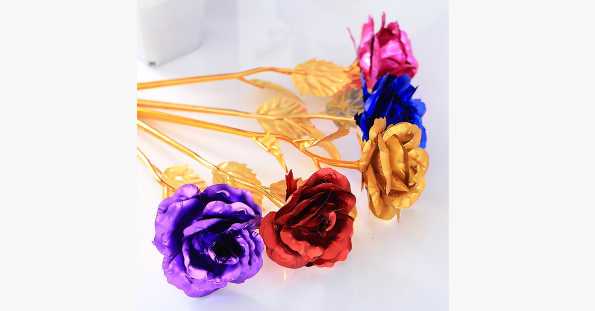 Norvo | 24K Always Gold Plated Rose - Various Colors