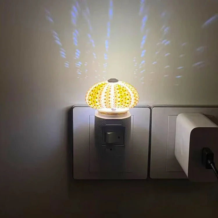 Norvo | LumiCraft – Unik DIY bordlampe med naturlig sjøskjell for en koselig dekor