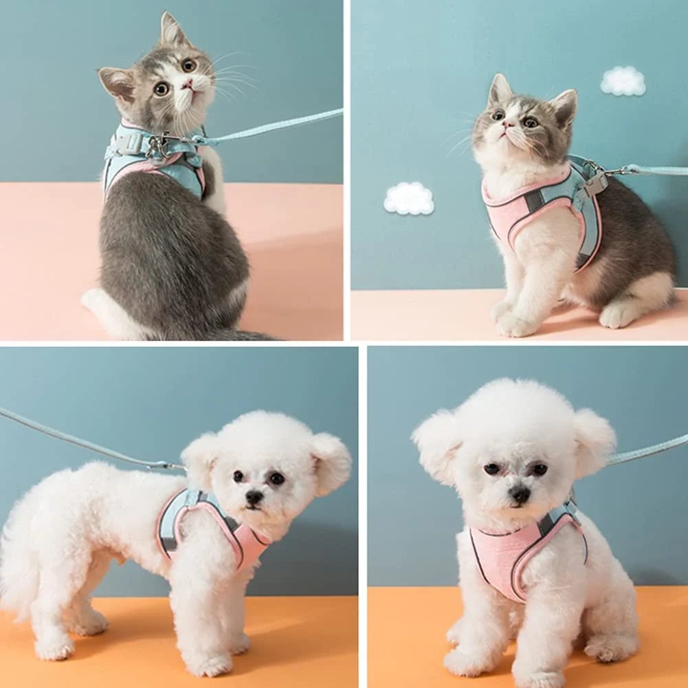 Norvo | Katt Vest Og Belte Sett Kjæledyr Taksjons Tau