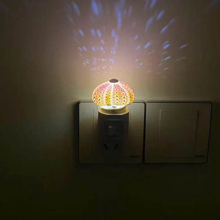Norvo | LumiCraft – Unik DIY bordlampe med naturlig sjøskjell for en koselig dekor