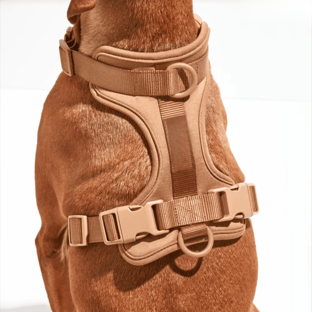 Norvo | ComfyPaws Hundesele Gåsett med Bånd og Bæsjeposeholder