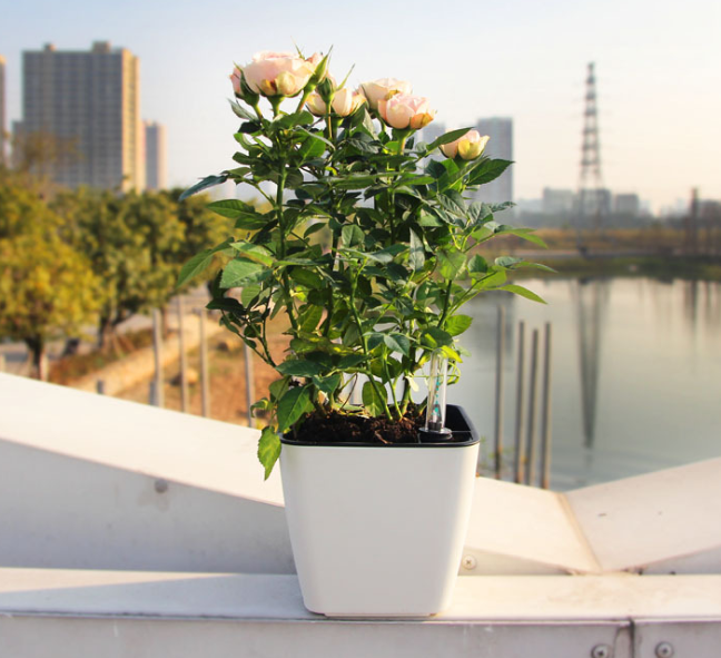 Norvo | Blomsterkrukke med irrigasjonssystem – Selvvannende plantekrukke for innendørs og utendørs bruk