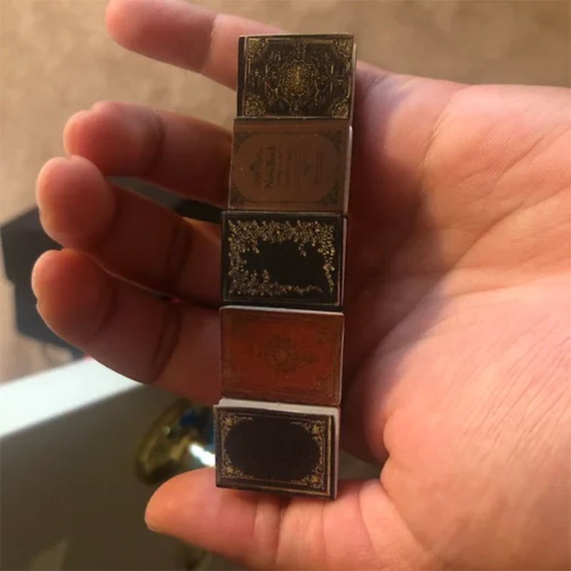 Norvo | Miniatyrbok Hårnål Barrette