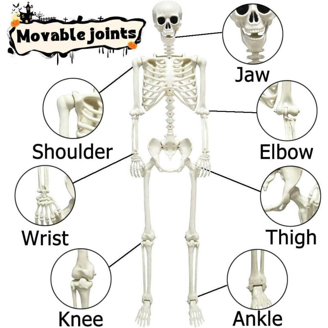 Helkropp Skelet Halloween Dekorasjon – Garantert Skremmende, Morsomt for Alle Norvo