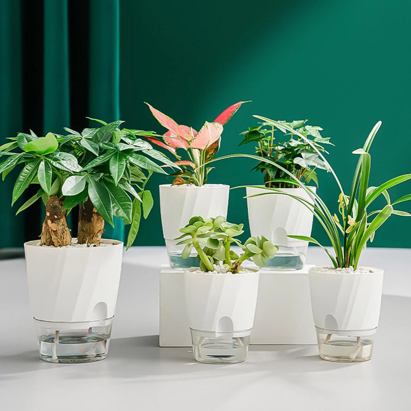 Norvo | Selv vanning planter