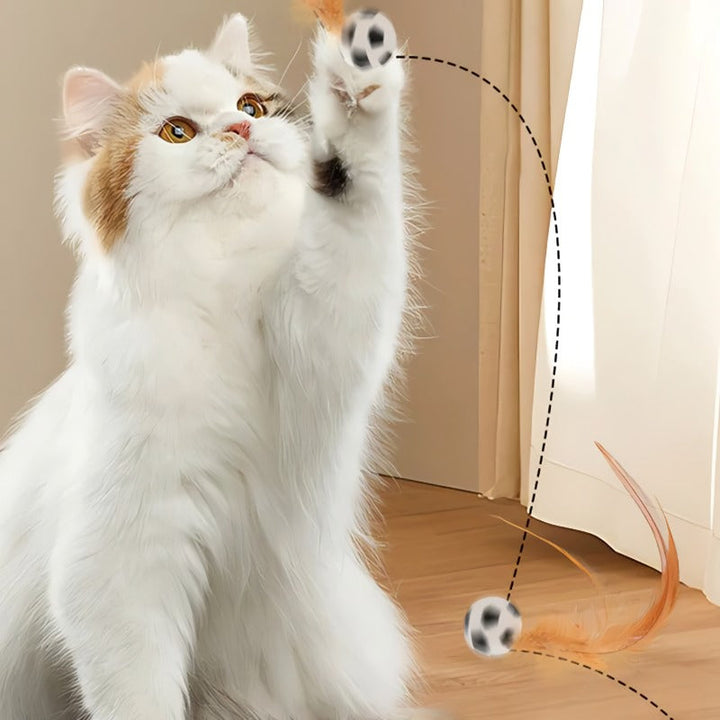 Norvo | Interaktiv Hoppende Ball for Katter med Fjær
