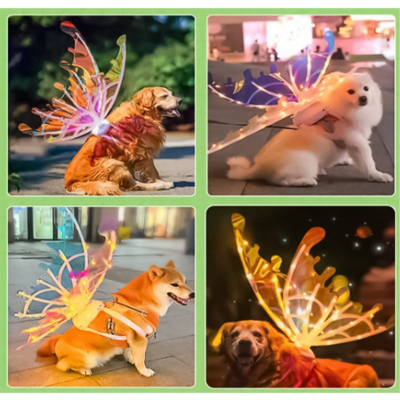 Norvo | Elektriske fe sommerfugl vinger med LED lys