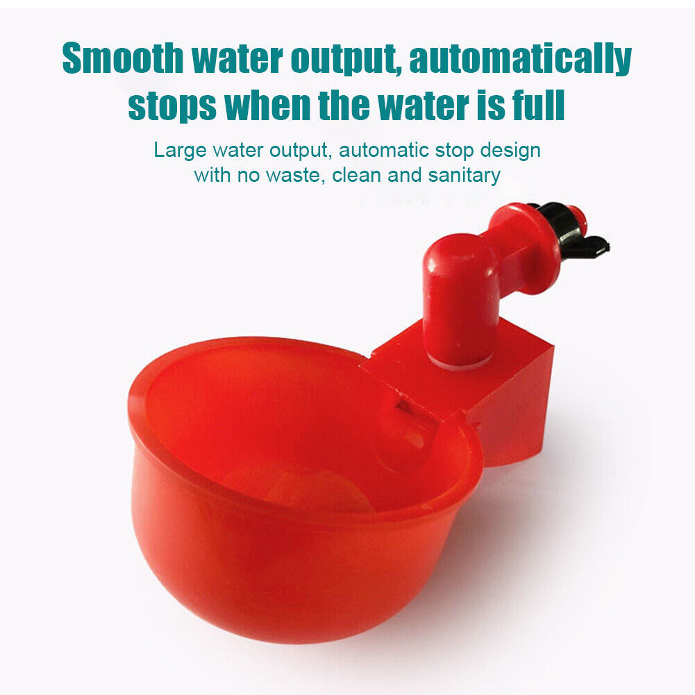 Norvo | Automatisk fjærfe drikker