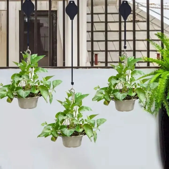 Norvo | FlexiBloom — Få smertefri plantepleie og et stilig hjem uten ryggsmerter! (2 deler)