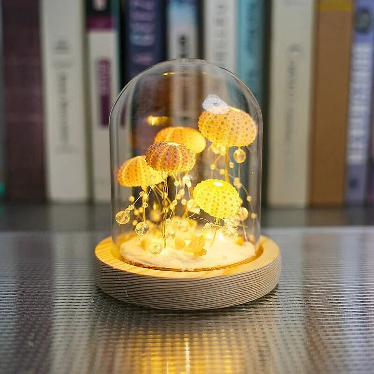 Norvo | LumiCraft – Unik DIY bordlampe med naturlig sjøskjell for en koselig dekor