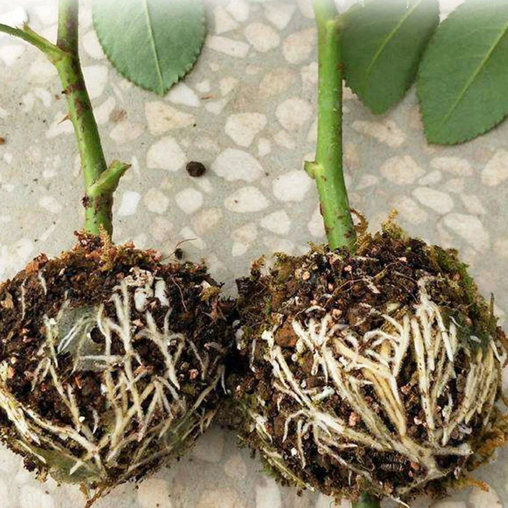 Norvo | Plantevern baller for røtter – Beskyttelseshetter for trygg omplanting og vekst