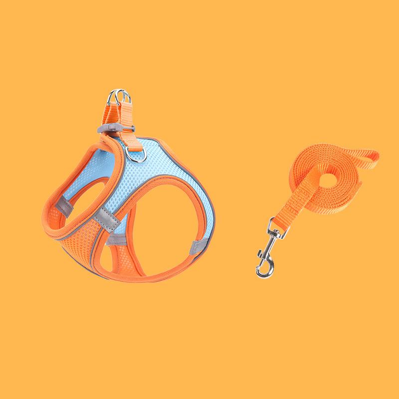 Norvo | Designet for å løfte brystet til kjæledyr