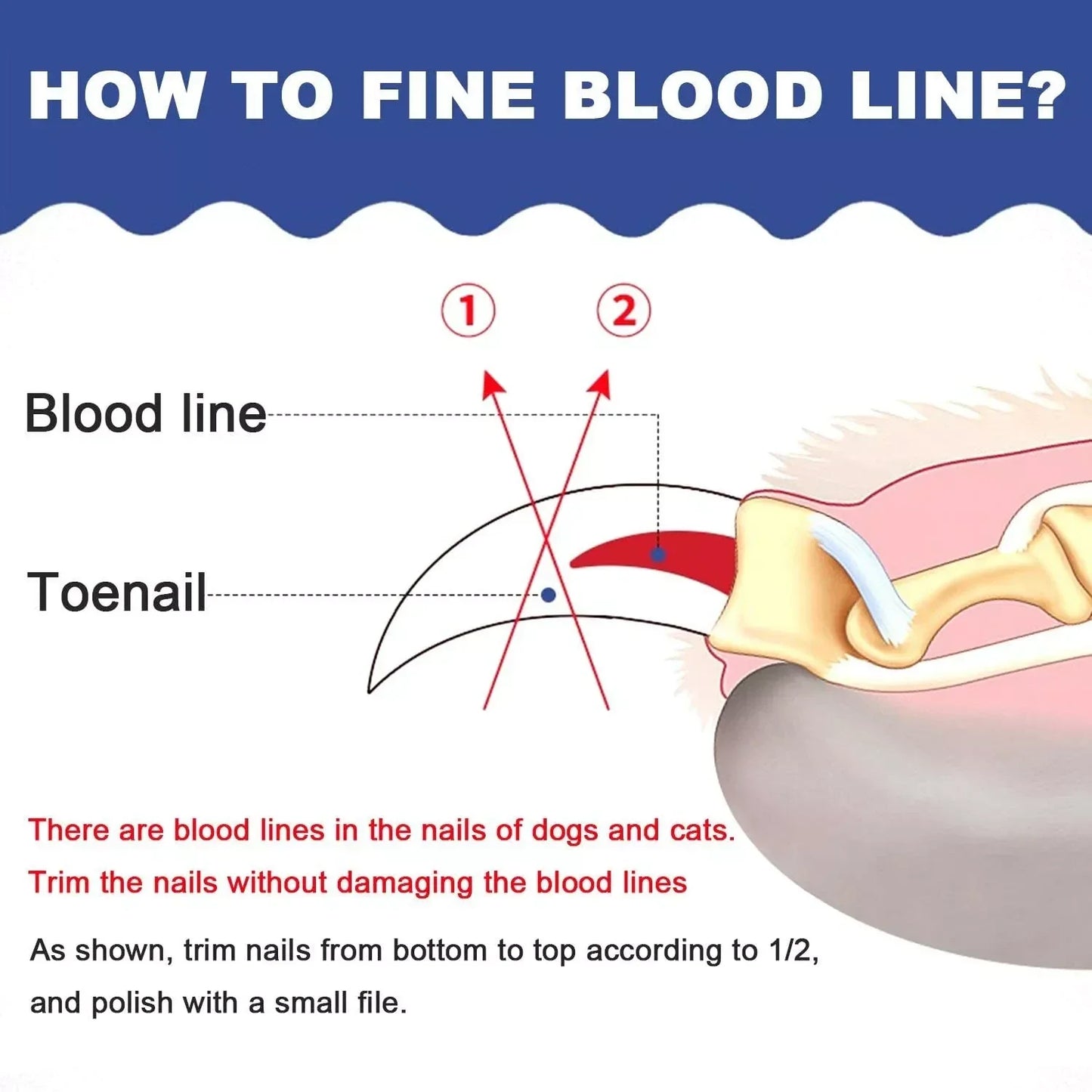 Norvo | Rustfritt Stål Kjæledyr Negl Klippere med Sikkerhetsbeskyttelse og Gratis Neglefil - Perfekt for Middels og Store Hunder
