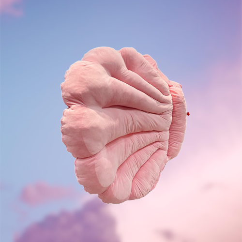 Norvo | Comfy Rest Dream Shell Sovesekk