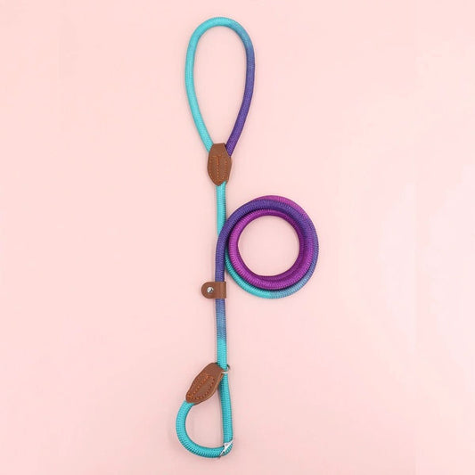 Norvo | CLÉMENTINE BÅND – Farget hundebånd for stilige turer med komfort