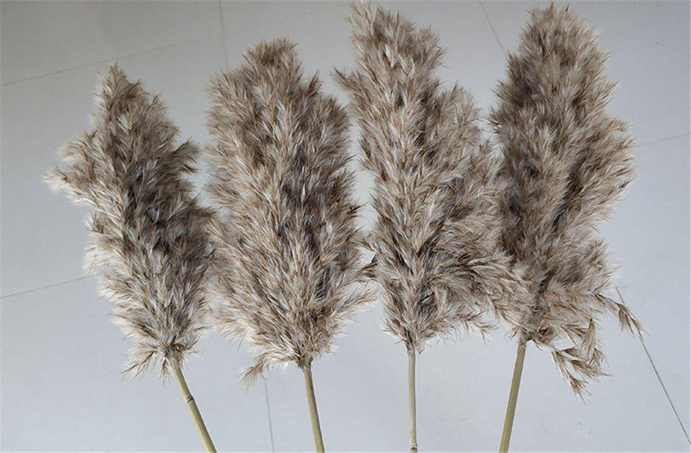 Norvo | 60 cm naturlig, ekte, brunt-beige tørket pampasgress bukett │ fluffy fjær for moderne boho hjemmeinnredning