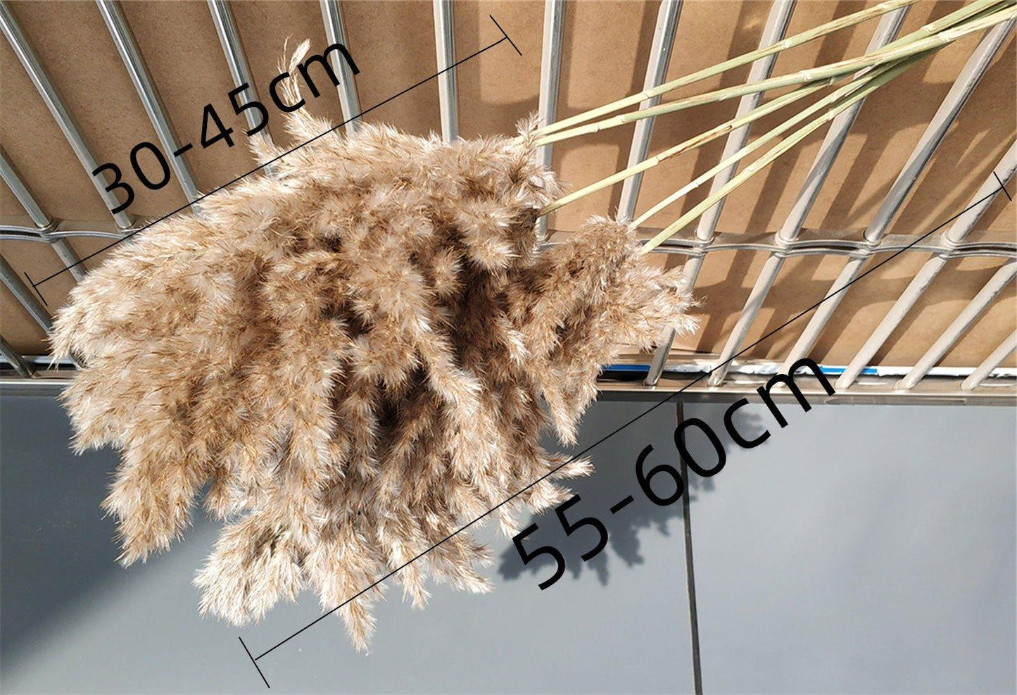 Norvo | 60 cm naturlig, ekte, brunt-beige tørket pampasgress bukett │ fluffy fjær for moderne boho hjemmeinnredning