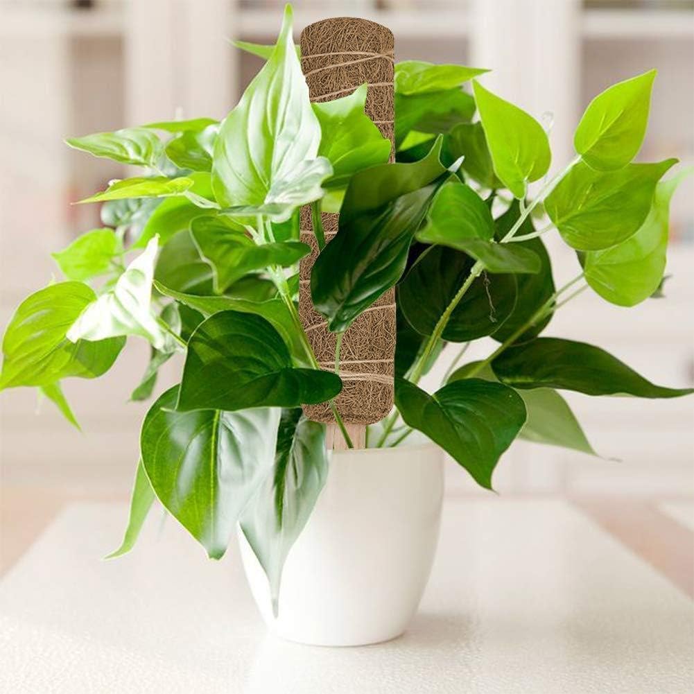 Norvo | Kokosnøtt mosepinne for klatreplanter – Naturlig klatrehjelp for stueplanter og hage