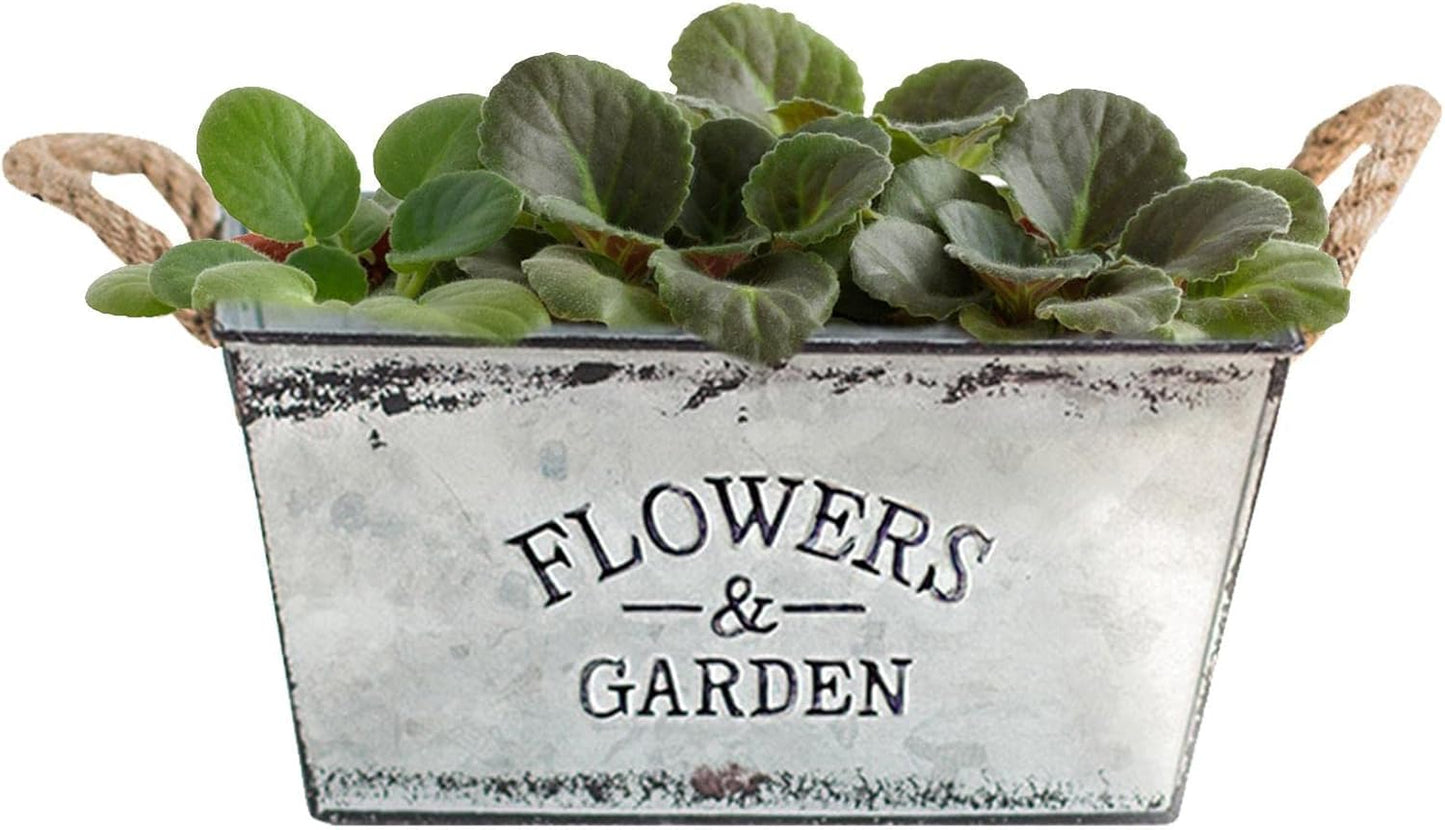 Norvo | Dekorativ blomster- og hagebeholder laget av metall med hemp tauhåndtak