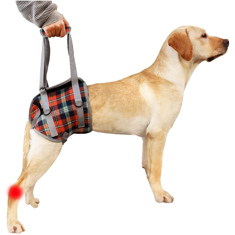 Norvo | Dog Lift Harness with Handle, Pet Recovery Sling