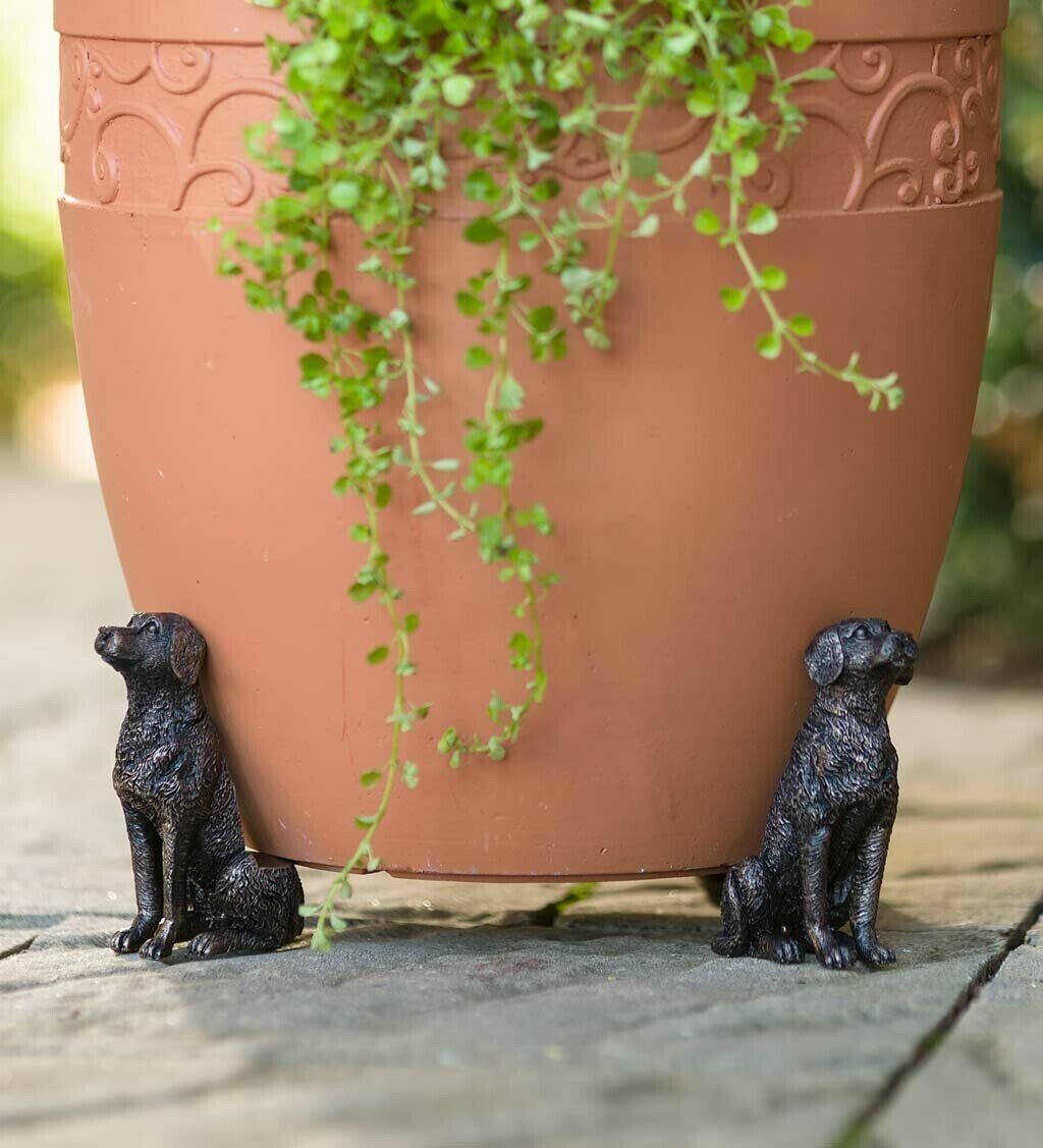 Norvo | Potty Feet Blomsterpotteføtter