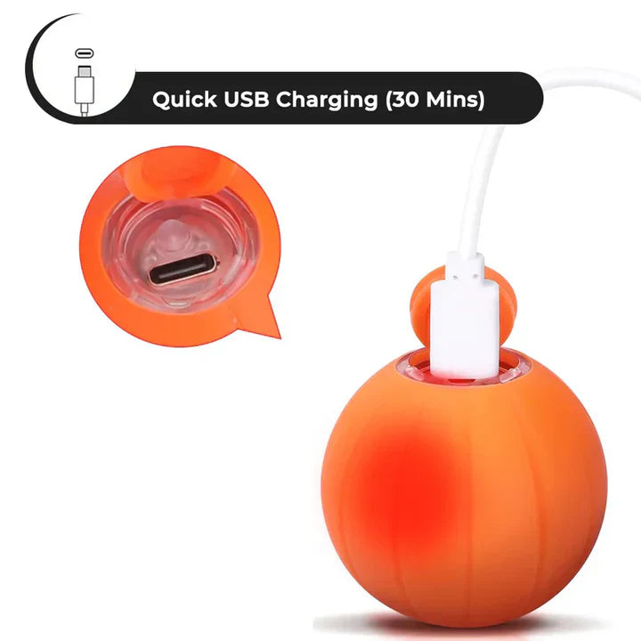 Norvo | Kjæledyrball (Spesialutgave)