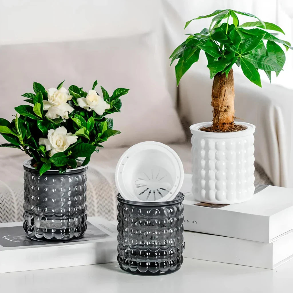 Norvo | Selv-vannende hydroponisk sukkulentkrukke