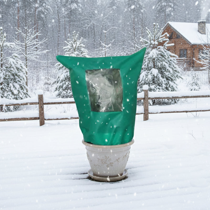 Norvo | CozyPlant – Beskytt plantene dine mot vinterkulden og hjelp dem å trives