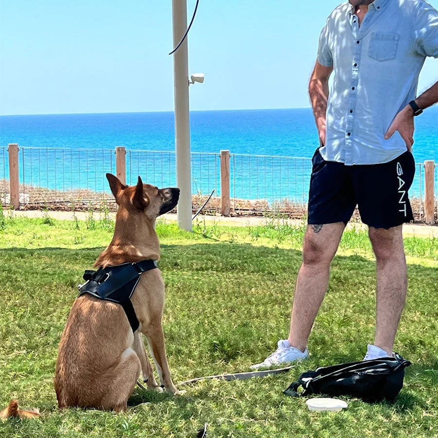 Norvo | Anti Kvelnings Hundesele