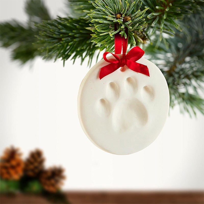 Norvo | Clay Pet Paw Impression Moulding Kit