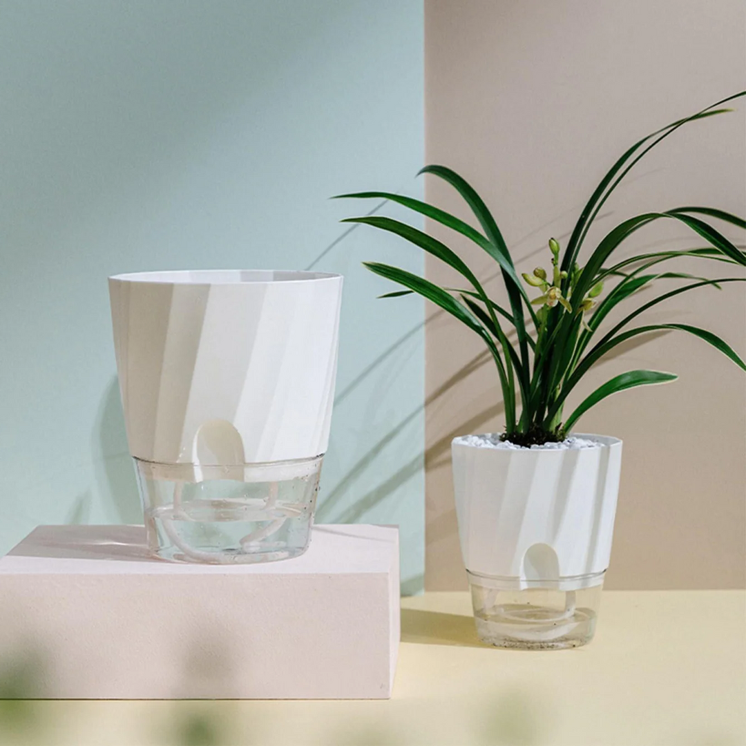 Norvo | Selv vanning planter