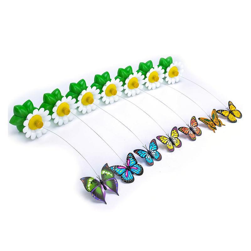 Norvo | Interaktivt Fugleleketøy for Katter