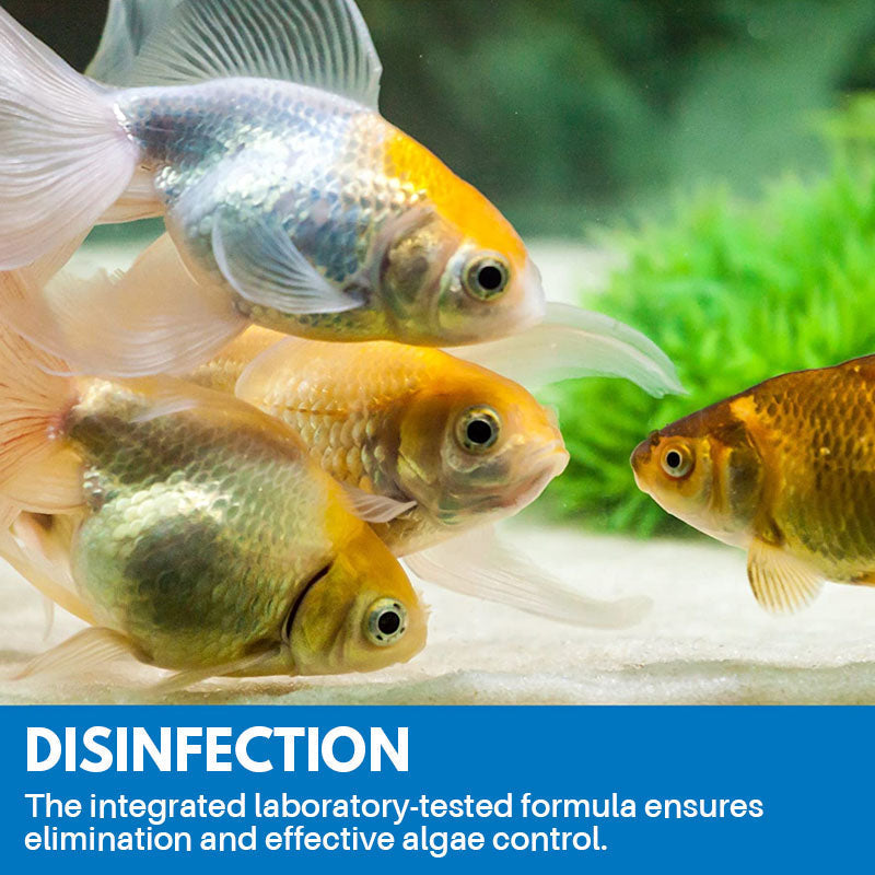 Norvo | Akvarierengjøringspulver