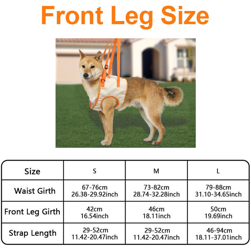 Norvo | Dog Support Lift Harness for ACL Rehab & Arthritis