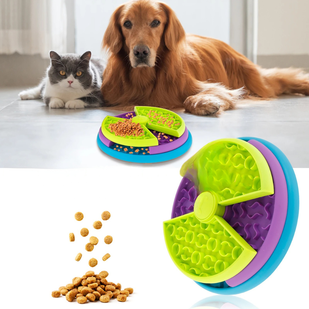 Engasjementsfôrskål med forskjellige nivåer Norvo