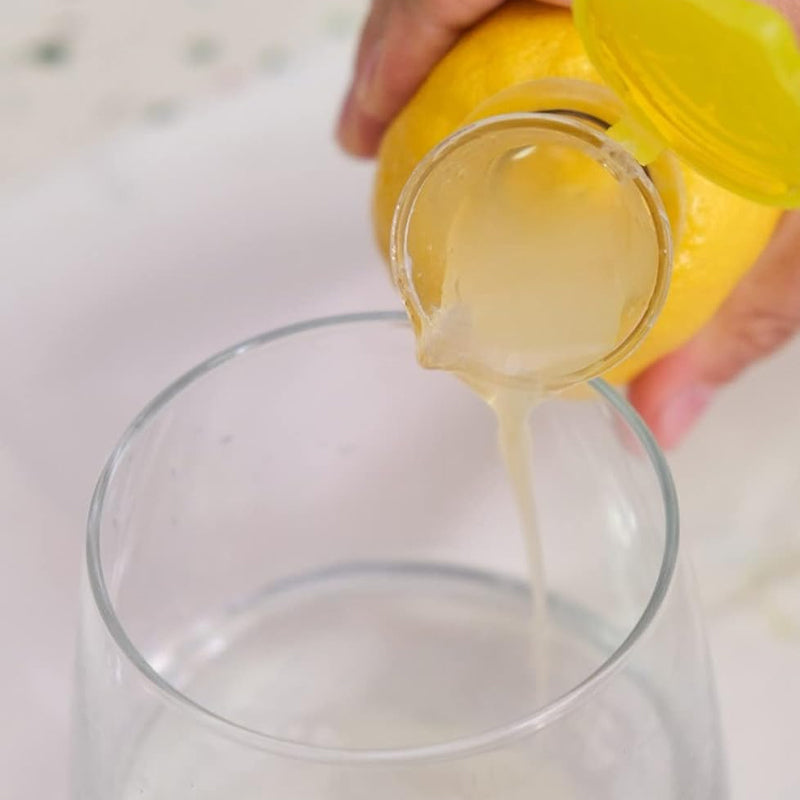 Norvo | Kompakt Juice Extractor med Lokk