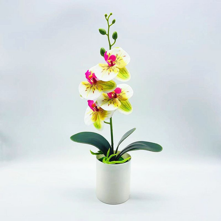 Norvo | Kunstig Orkidéblomst – Dekorativ Kunstig Plante for Stue og Borddekorasjon