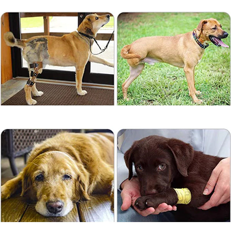 Norvo | Ortopedisk stropp for bakben