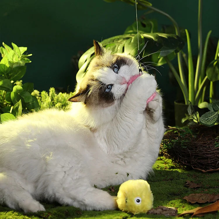 Norvo | – smarter interaktiv plysboll for katter | kjøp 1, få 1 gratis 🎁