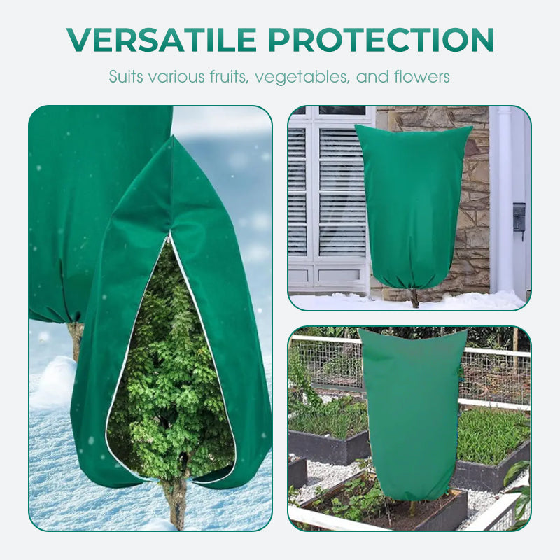 Norvo | CozyPlant – Beskytt plantene dine mot vinterkulden og hjelp dem å trives