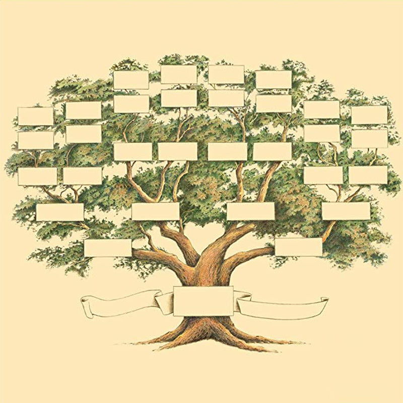 Norvo | Familietre Diagram | Slekt og Genealogi Oversikt | Flerfarget