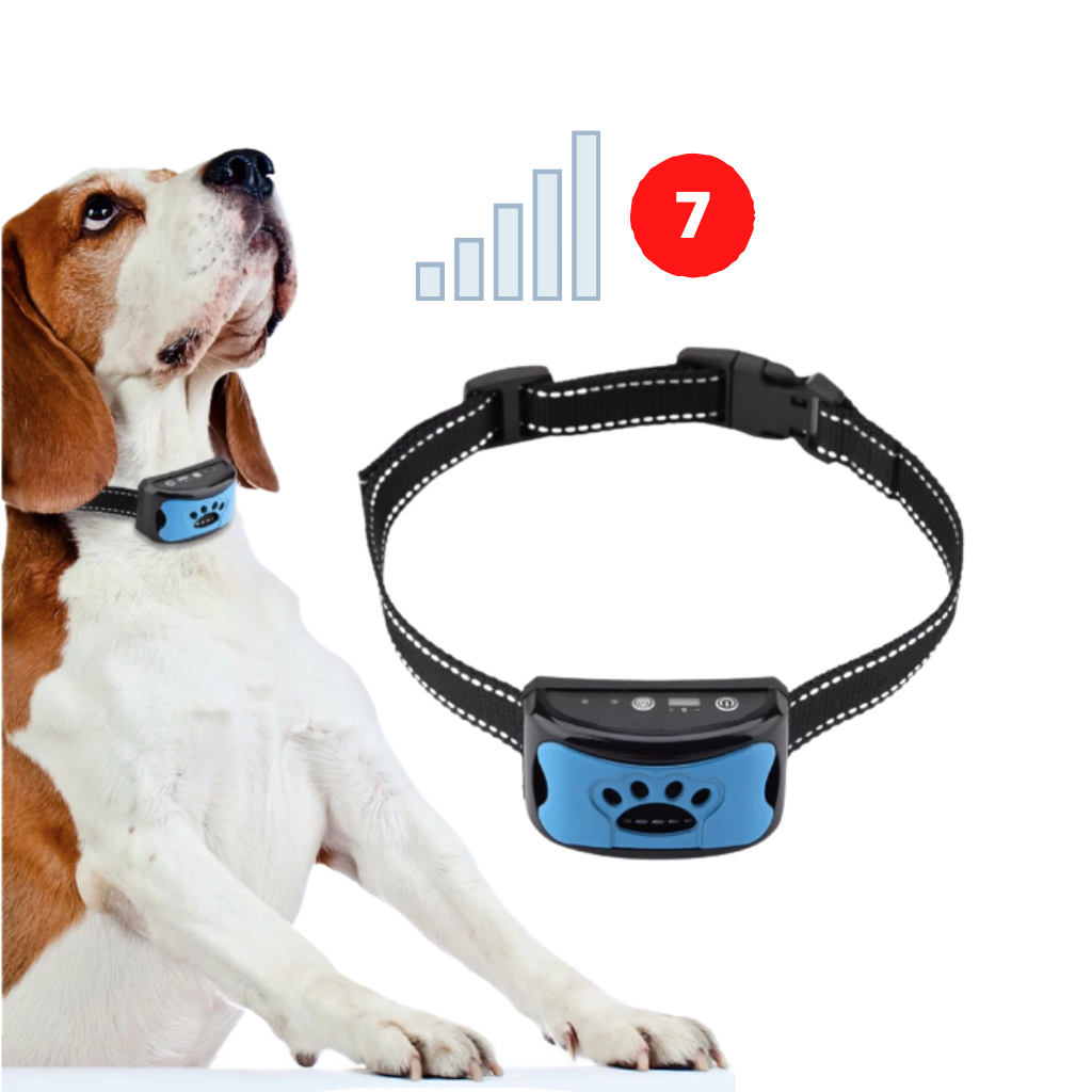 Anti-Bjeff halsbånd