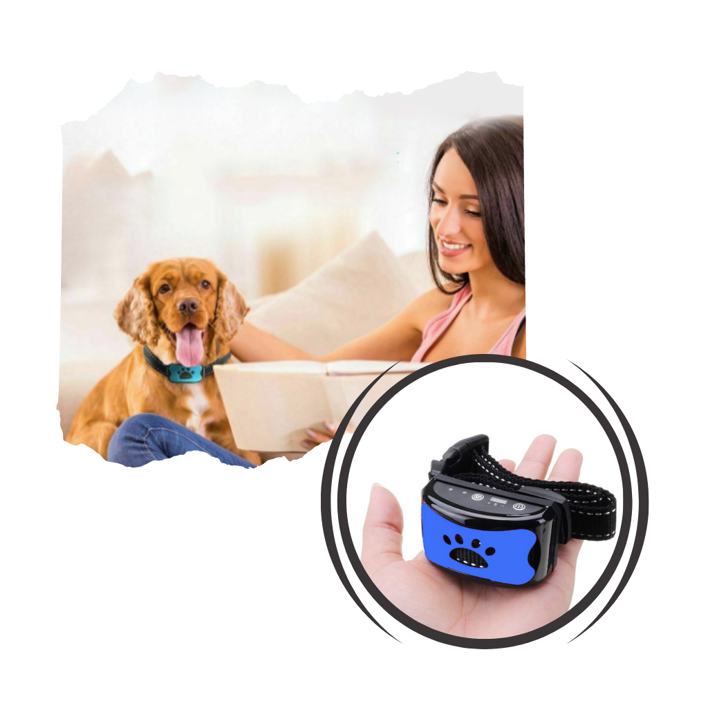 Anti-Bjeff halsbånd